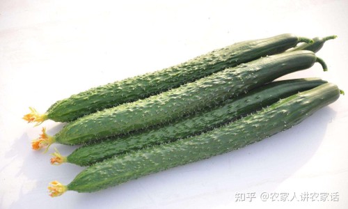 复方丁香开胃贴3丸图片网—知名的复方丁香开胃贴用法图片网站,分享复方丁香开胃贴有活血的作用吗知识